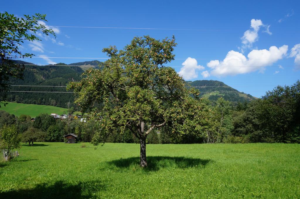 Villa Schmiedhaeusl Fusch an der Glocknerstraße Esterno foto